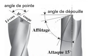 Angles des forêts